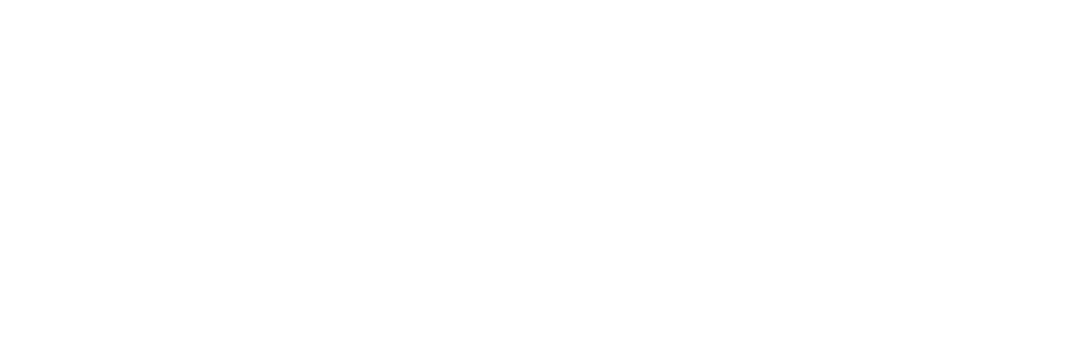 Boldbridge Logo Inline Rgb Reverse 1200x399